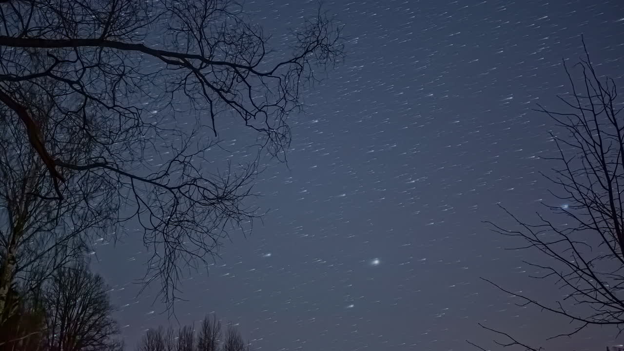 움직이는 별 궤적이 있는 나무의 맨 가지