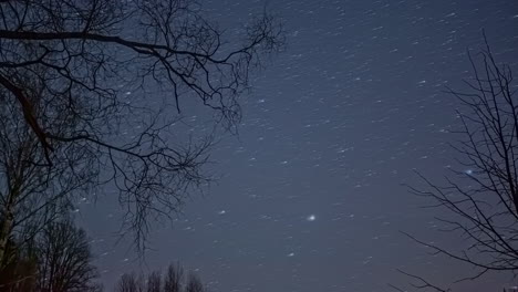 Bare-branches-of-trees-with-moving-star-trails