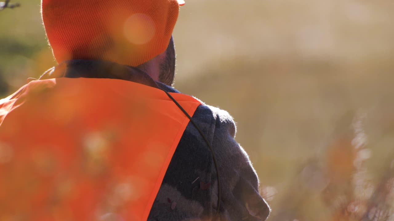 el cazador espera en el bosque junto a su rifle