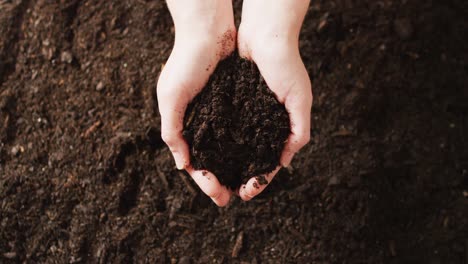 overhead video of hands of caucasian person cupping rich dark soil