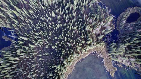 4K-Luftbildvideo-Mit-30-Bildern-Pro-Sekunde-Auf-Der-Straße-Von-Tok,-Alaska
