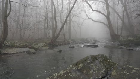 a wide view of a flowing river in the forest with trees overhanging the banks