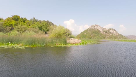 Skadar-lake-boat-cruise-in-Montenegro,boat-passing-by-water-lily