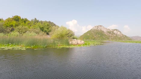 crucero en barco por el lago skadar en montenegro,barco pasando por nenúfares