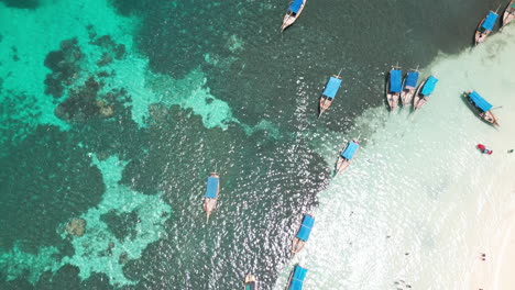 boats anchored near a sandy beach with swimmers and coral reefs