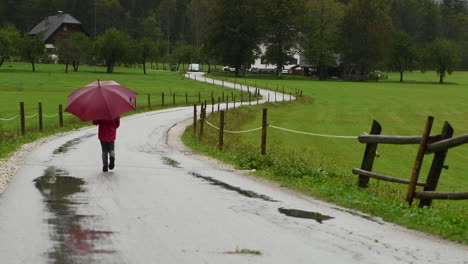 little girl with umbrella fast pace walking in rain on country road, farmhouse in background, alpine valley, from behind facing away