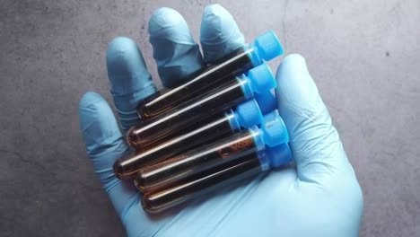 tubos de ensayo llenos de líquido oscuro en la mano con guante