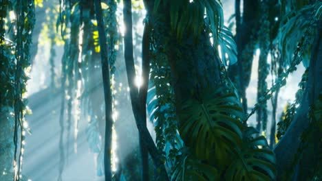 deep-tropical-jungle-rainforest-in-fog