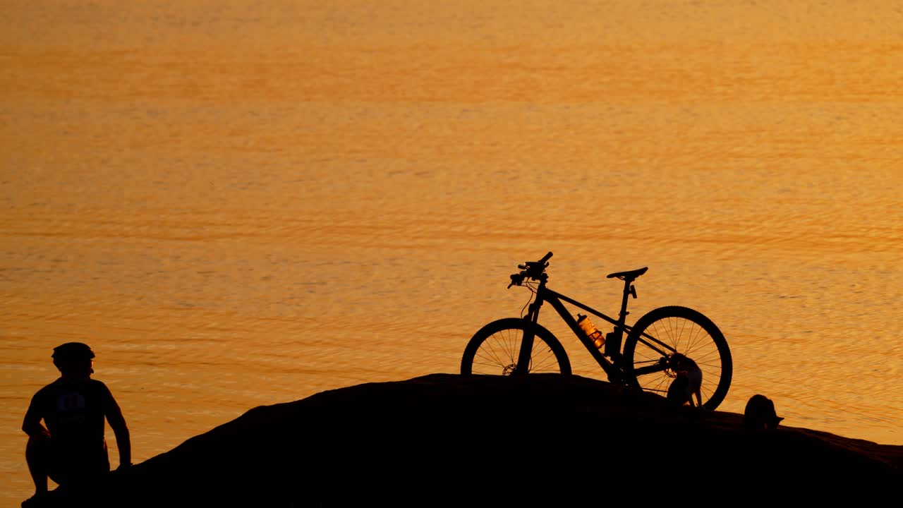 Silhouette of nice cats, bike and a man near the water at sunset. Professional cyclist walking near the river and three cats running to the man in the beautiful evening.