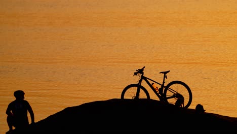 silhouette of nice cats, bike and a man near the water at sunset. professional cyclist walking near the river and three cats running to the man in the beautiful evening.
