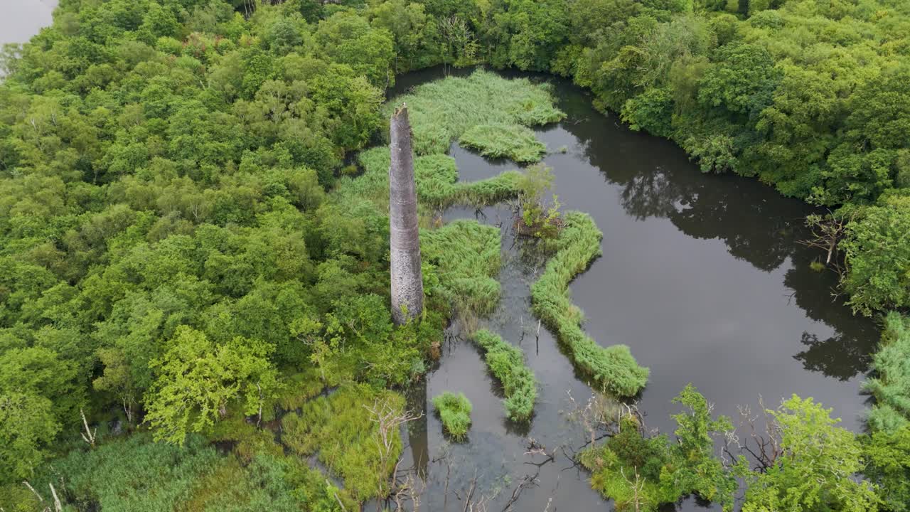 Aerial View of a Historical Chimney in a Lush Green Swamp Forest