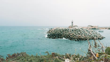 beautiful tranquil view of sea lighthouse from coast with grass