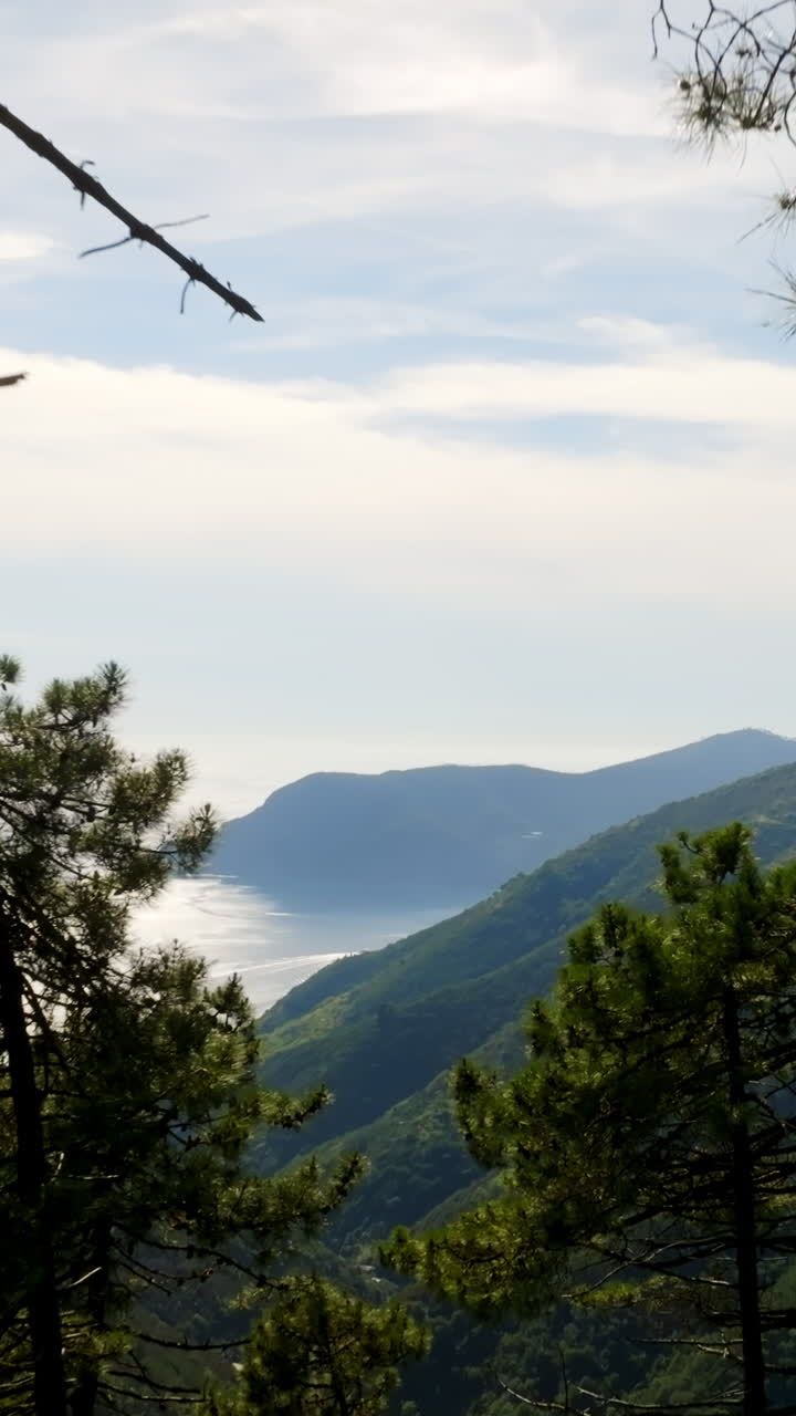 Bidikan drone vertikal melewati pepohonan, menampilkan pegunungan Cinque Terre, Italia