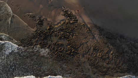 Picturesque-rocky-pattern-and-design-seabed-by-Calheta-sandy-shore-beach-with-ocean-sea-waves-rolling-onshore-at-sunset,-Portugal,-directly-above-rising-aerial