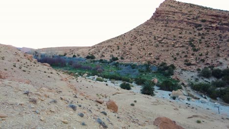 Un-Río-En-Medio-Del-Desierto-Del-Sahara-Argelia-Biskra