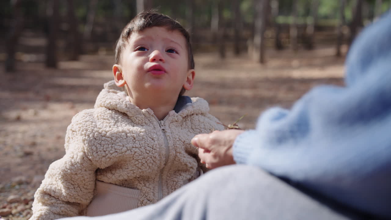 Video lifestyle di un bambino piccolo seduto in un parco che raccoglie piccole pietre e sabbia da terra e le posa delicatamente nella mano della nonna, catturando un tenero momento di condivisione e cura