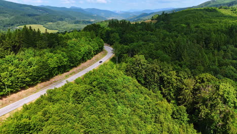 flight over the green slopes of wooded mountains. a highway is built through the lush forests