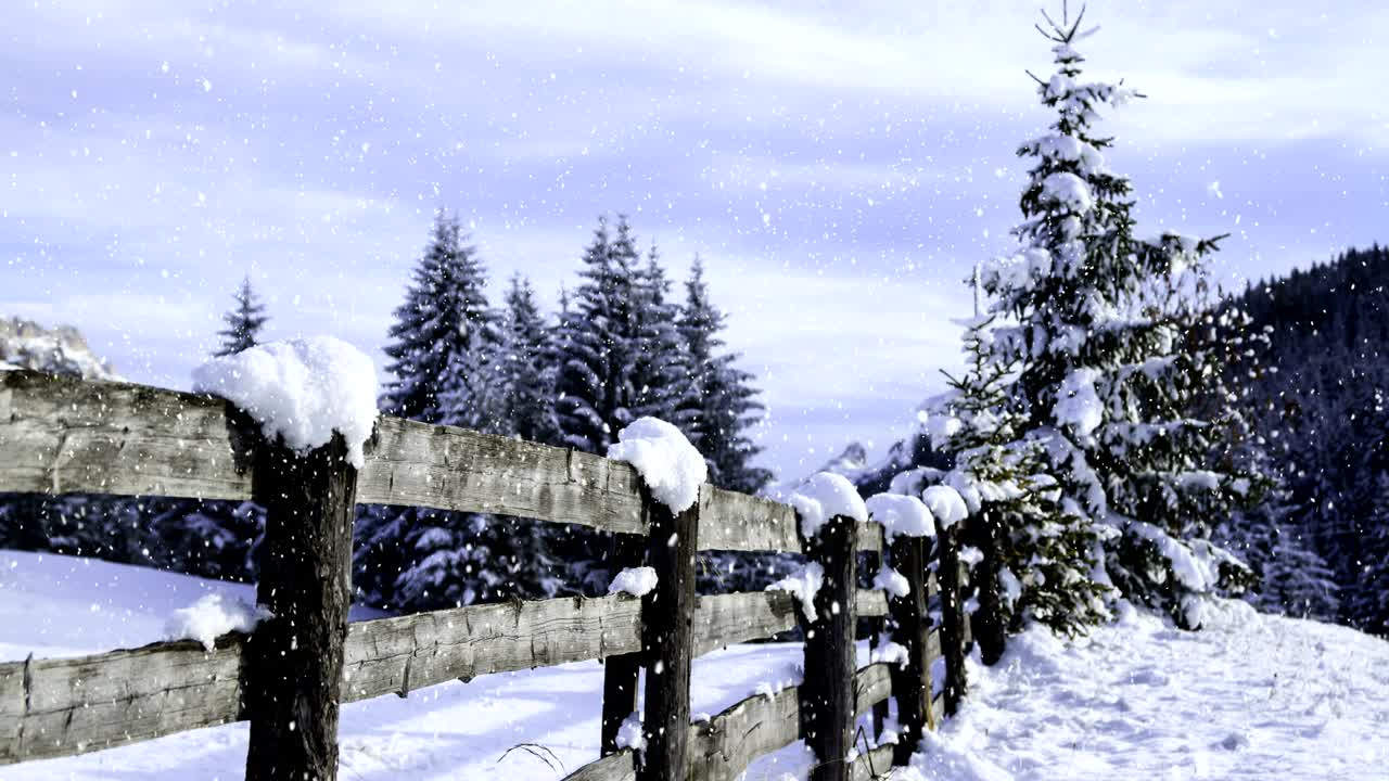 겨울 풍경 (루프)