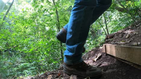 trekking en el bosque con mis nuevas botas de cuero