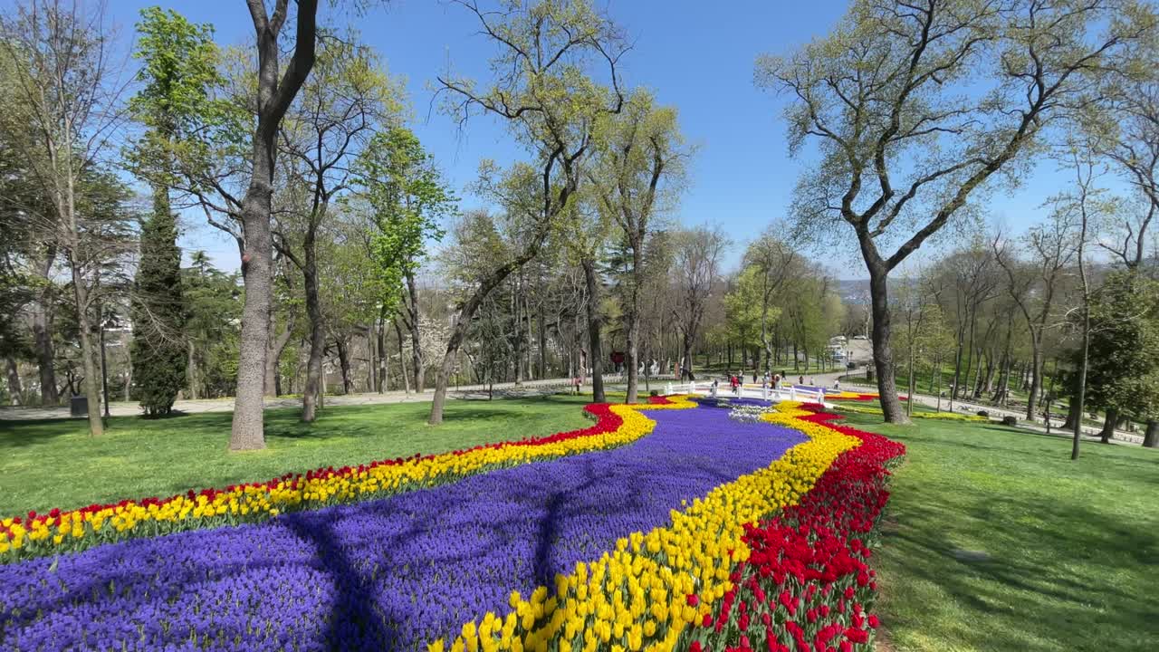 el festival de los tulipanes de estambul.