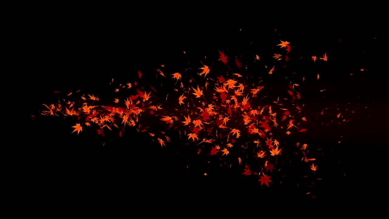 Vortex from colorful maple and leaves. Spiral shiny particle of autumn leaves. Dancing leaf. Colorful nature tunnel loop animation.