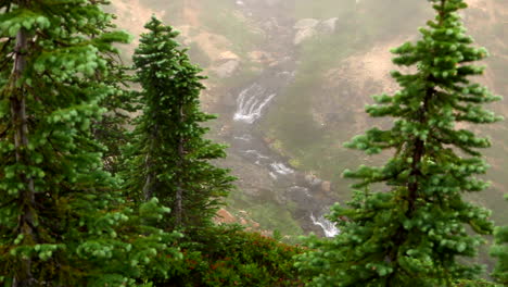 Dolly-Derecha-Copas-De-Los-Pinos-Con-Una-Pequeña-Cascada-En-El-Fondo-En-El-Día-De-La-Niebla