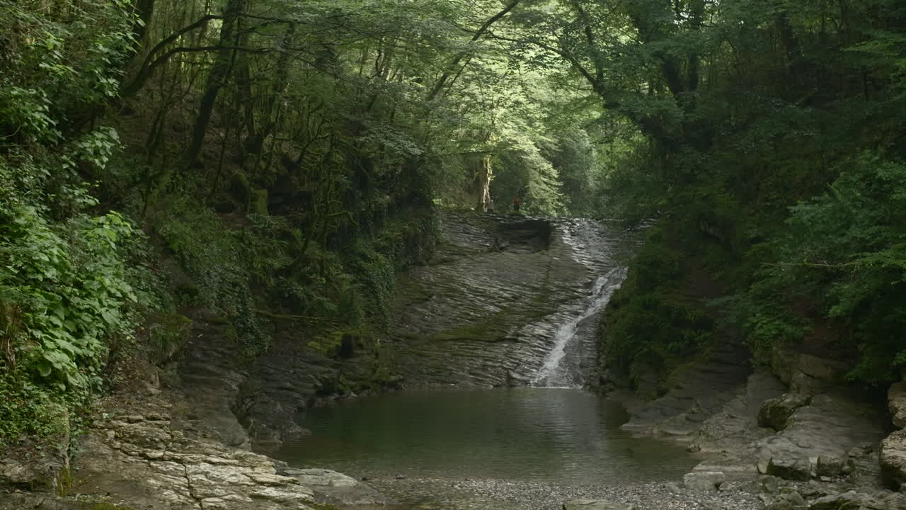 hermosa cascada en un bosque exuberante