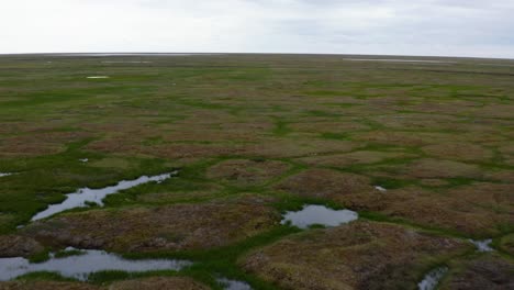 Luftdrohnenaufnahme,-Die-Hoch-über-Aufgetautem-Tundra-Permafrost-In-Der-Nähe-Der-Arktis-In-Barrow,-Alaska,-Fliegt,-Während-In-Der-Ferne-Ein-Weißer-Vogel-Fliegt