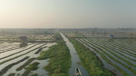 Famous-floating-gardens-during-soft-morning-sunshine-at-Inle-Lake