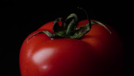 close-up of a single red tomato