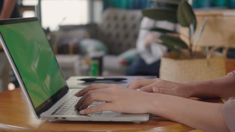 mujer de negocios sentada sola trabajando escribiendo en el teclado de una computadora portátil pantalla verde en una cafetería
