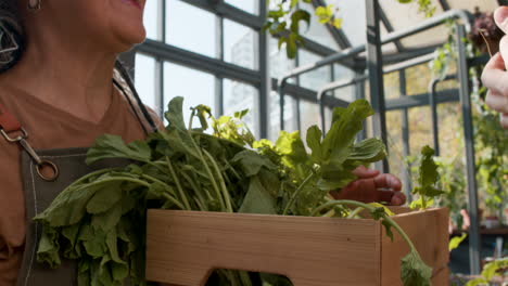 people in a greenhouse