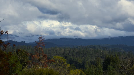 Timelapse-Panorámico-De-Nubes-Turbulentas-En-Un-Valle-Boscoso