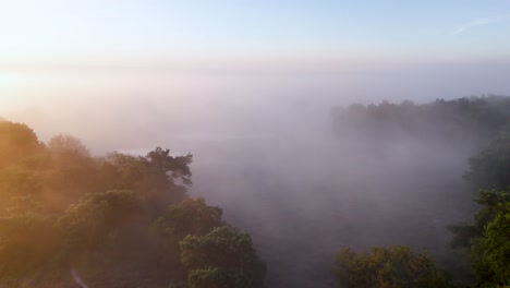 aerial view of a misty forest landscape at sunrise or sunset