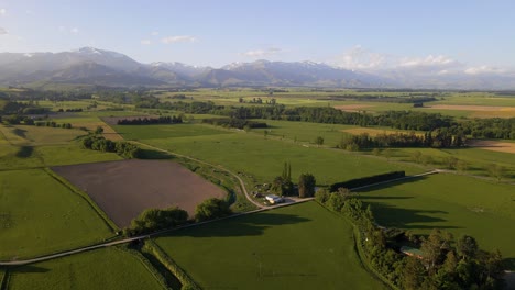 Neuseeland-Ackerland-Mit-Südalpen-Im-Hintergrund