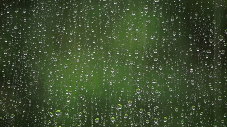 Rain droplets on glass window with blurred green plants on the background