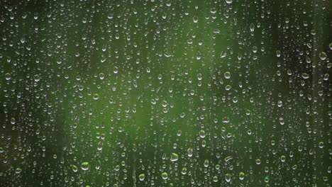 rain droplets on glass window with blurred green plants on the background