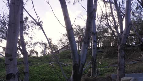 Woman-Standing-On-Boardwalk-Of-North-Gorge-Walk-At-North-Stradbroke-Island,-Queensland-Australia