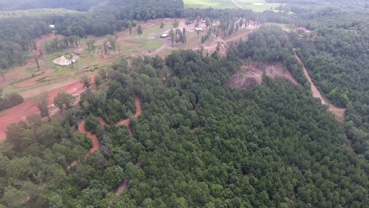 аэрофотосъемка леса