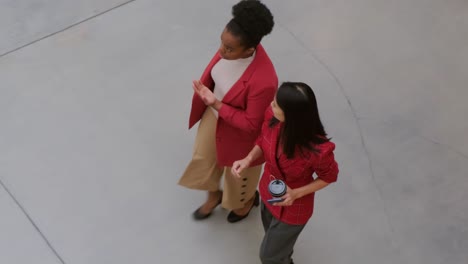 two women walk to their office, engaged in a business discussion