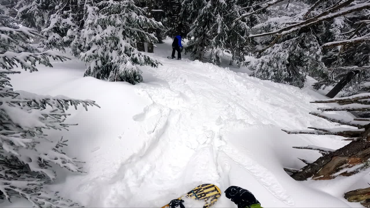 POV ride by the beautiful snowy forest of fir-trees. Off-piste snowboarding in the mountains.
