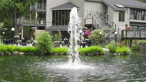 Fuente-De-Agua-En-Una-Hermosa-Finca