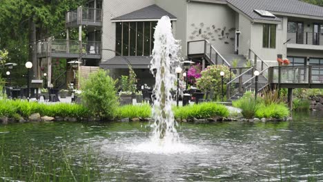 water fountain in a beautiful farm