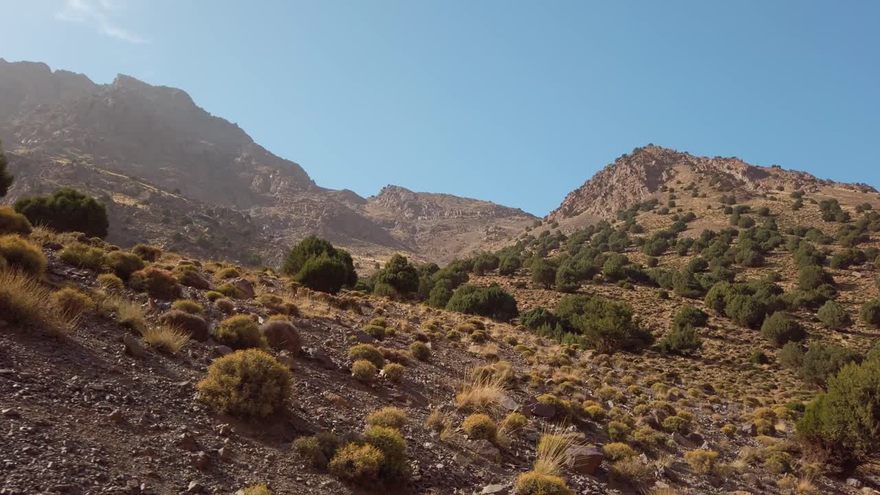 Pendii rocciosi con arbusti sparsi e ginepri sulle montagne dell'Alto Atlante vicino a Imlil, Marocco, sotto un cielo azzurro e limpido, che mostrano l'aspro paesaggio naturale della regione del Monte Toubkal