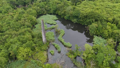 aerial view of a lush green forest wetland with an old chimney structure