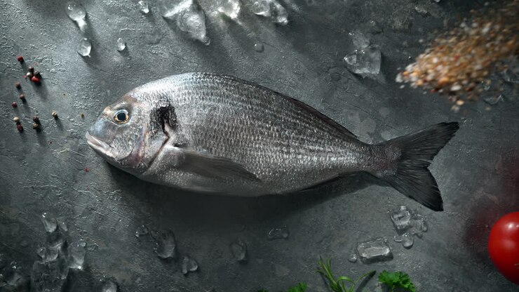 Seasoning Gilthead Bream Fish Lying On A Chilled Ice-Covered Kitchen Counter, Table Top View, Slow Motion