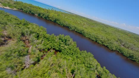 在多米尼加共和國的san pedro de macoris河口的紅樹林和河口上空的無人機fpv