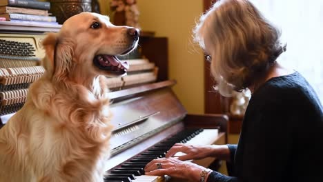a heartwarming scene of a golden retriever sitting beside a woman playing the piano, capturing the bond between pets and their owners in a cozy home environment
