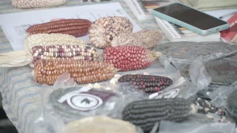 closeup of indigenous latin american edible products