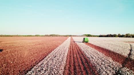 Siguiendo-Una-Cosechadora-Verde-Cosechando-Un-Campo-De-Algodón